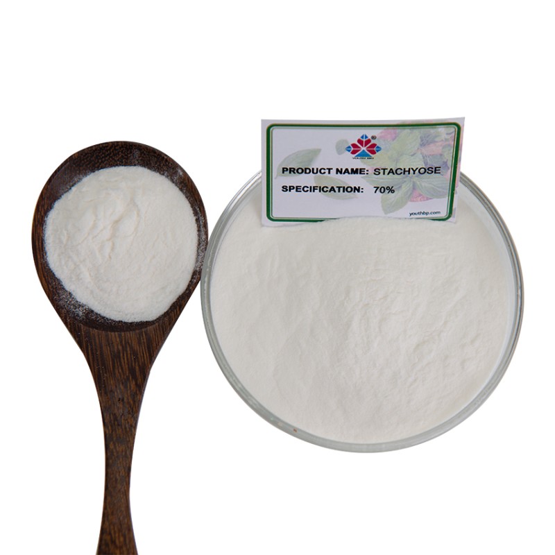 HPLC Tested Food Grade Natural Polydextrose Powder Prebiotic Fiber Supplement Gut Health Green Tea Extract Rice Grain Jar 1kg