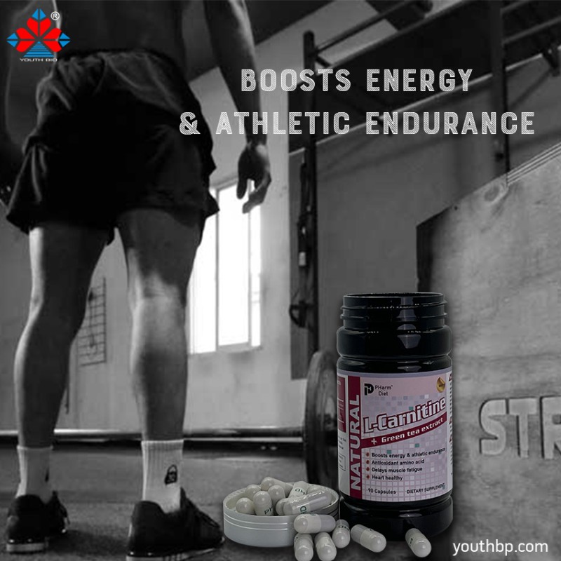 500mg * 90 Caps Green Tea L-Carnitine Capsules Natural Fat Burner Metabolism Booster Energy Supplement Adult Not for Pregnancy