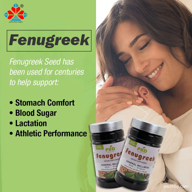 Adult Bulk Supply Fenugreek Extract Capsules 40% Saponins Powder Herbal Supplement Not Suitable for Teens or Pregnant Women