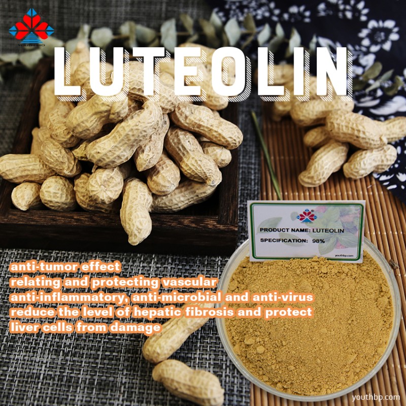 Food Grade Luteolin Extract Powder Liquid-Solid Extract Flavonoid Antioxidant Properties Support Overall Bottle/Barrel