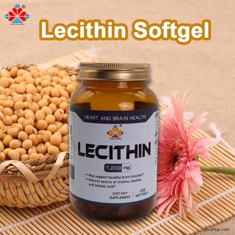 Youth Non-GMO Soy Lecithin Softgel Capsules Plant-Based Emulsifier Liver Detoxification 3 Capsules per Serving 120 Capsules