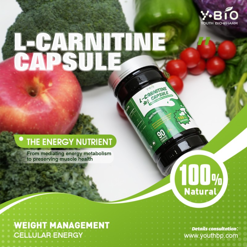 Private Label Green Tea L-Carnitine Capsules OEM Bulk Zinc Chromium Weight Loss Energy Metabolism Support Halal Vegan