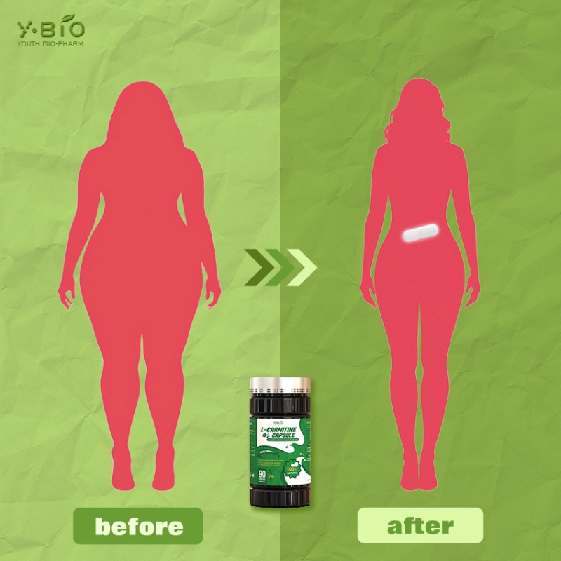 100% Natural Green Tea L-Carnitine Capsules Fat Transport Weight Control Energy Metabolism Support Vegan Halal