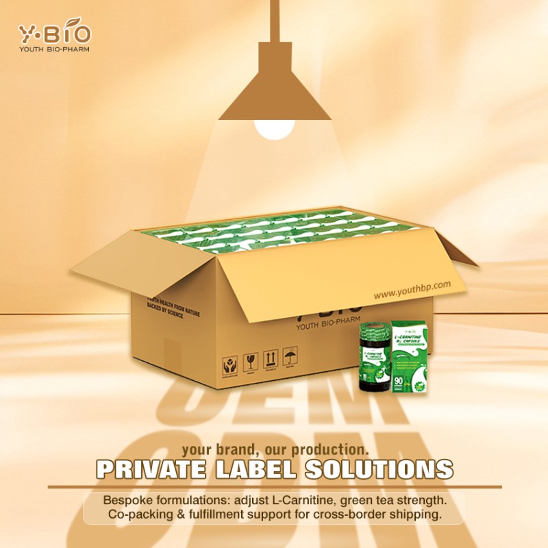 Green Tea L-Carnitine Capsules Zinc Chromium Natural Advanced Fat Metabolism Support Energy Dietary Supplement 90 Capsules 1000mg