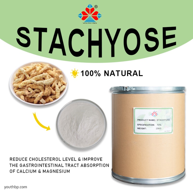 HPLC Tested Food Grade Natural Polydextrose Powder Prebiotic Fiber Supplement Gut Health Green Tea Extract Rice Grain Jar 1kg