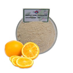 High Purity 1kg Barrel Packed Food Grade Hesperidin Powder Custom Manufacture Fruit Extract Herbal Plant Extract Wholesale
