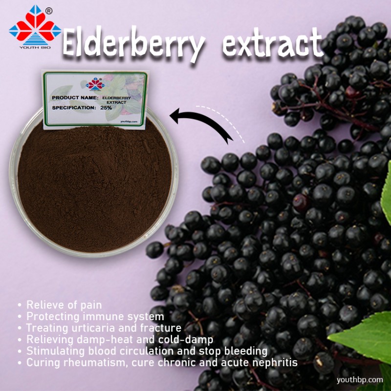 25% Pure Food Grade Elderberry Peel Extract Powder HPLC Rich in Anthocyanins Herbal Supplement Vacuum Packed Drum Container