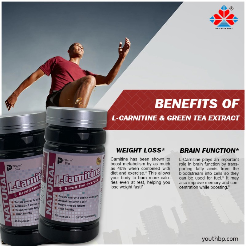 500mg * 90 Caps Green Tea L-Carnitine Capsules Natural Fat Burner Metabolism Booster Energy Supplement Adult Not for Pregnancy