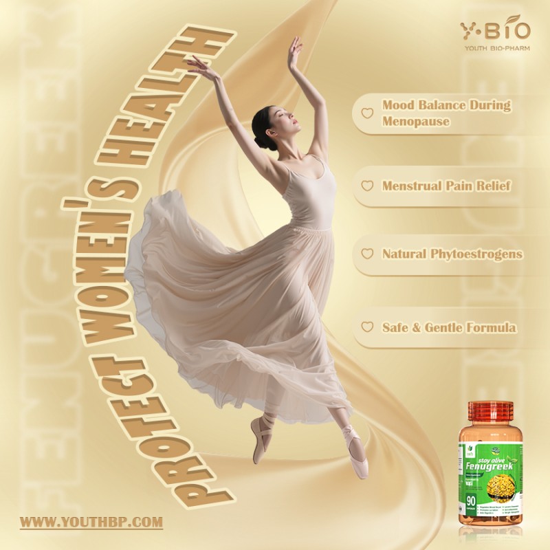 High Saponins Fenugreek Extract Capsules 500mg - Adult Dietary Supplement Antioxidant Sleep Improvement Metabolism Improvement ODM