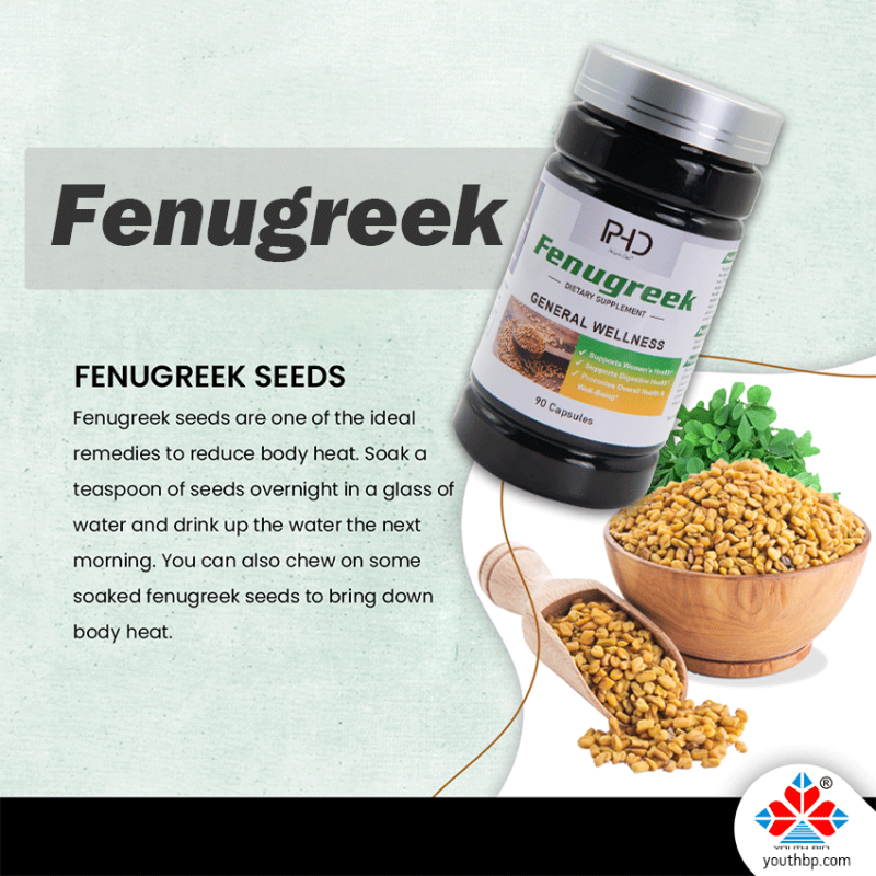 Premium 500mg Fenugreek Extract Capsules Herbal Supplement Safe Digestive Health Support for Adult Not Pregnant Teen