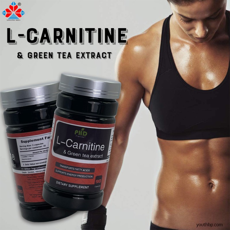 Youth L-Carnitine Green Tea Extract Zinc Chromium Picolinate Capsules for Weight Loss