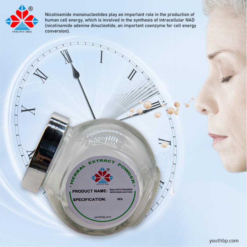 Β-Nicotinamide Mononucleotide Herbal Extract Food Grade 99% White Powder Plastic Container 1kg MOQ Vacuum Packed Jar HPLC