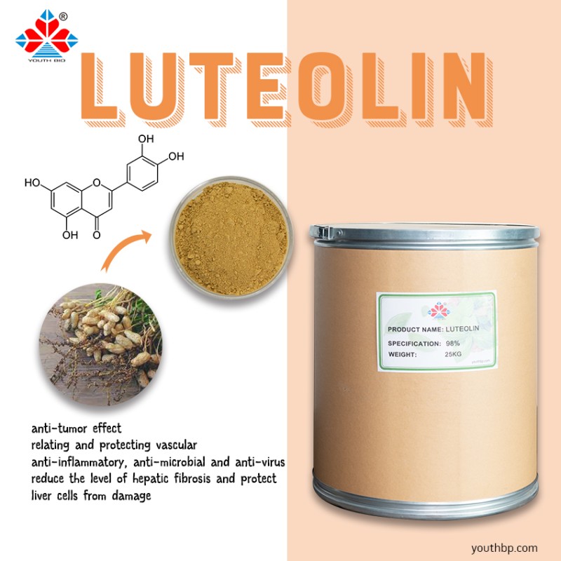 Food Grade Luteolin Extract Powder Liquid-Solid Extract Flavonoid Antioxidant Properties Support Overall Bottle/Barrel
