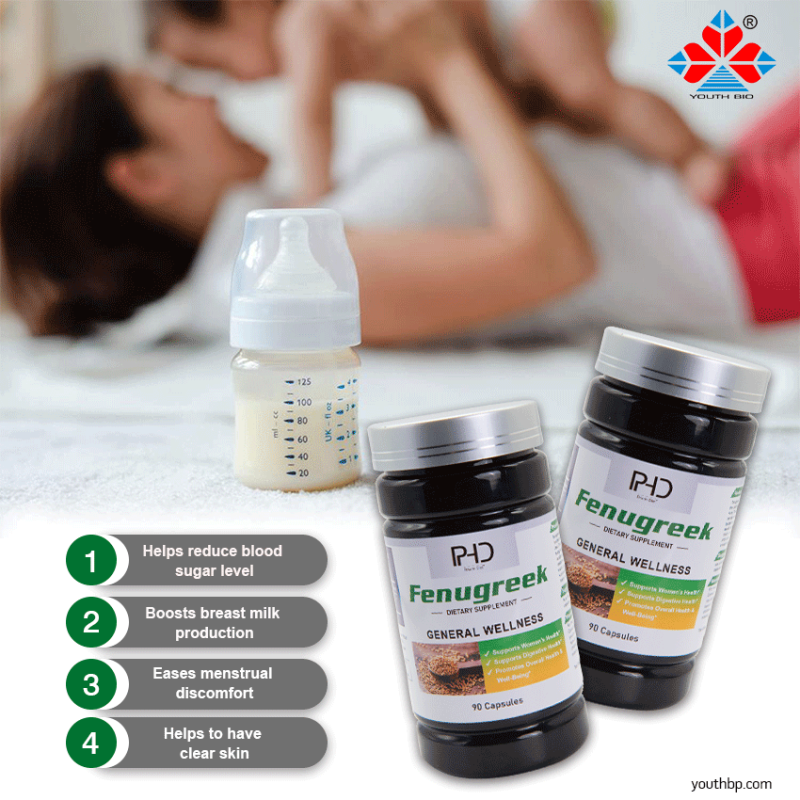 Premium 500mg Fenugreek Extract Capsules Herbal Supplement Safe Digestive Health Support for Adult Not Pregnant Teen