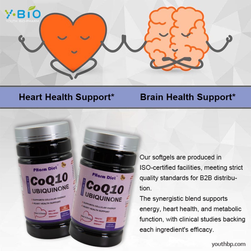 Premium Heart Support Antioxidant Supplement Enhanced Coenzyme Q10 Capsules Vitamin B3 Red Yeast Rice Extract 60 Capsules/Bottle