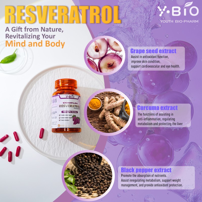 Youth Private Label Multi-Ingredient Herbal Supplement OEM/ODM Resveratrol NAD+ Complex Grape Seed Extract Antioxidant Capsules