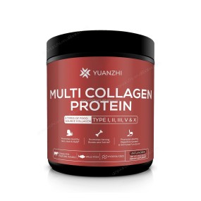 Multi Collagen Powder with Hydrolyzed Grass-Fed All-in-One Super Bone Broth + Polypeptides