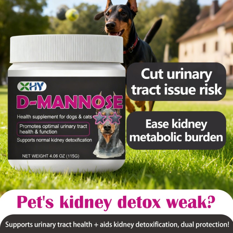 OEM ODM Dog Cat D-Mannose Supplement Powder Effective Treatment for Urinary Tract Infections D-Mannose Powder