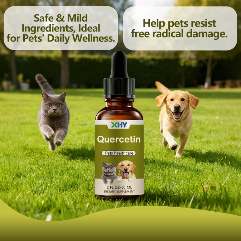 Pet Health Supplement Liquid Quercetin Drops Pet Supplements and Vitamins Dog Instant Relief