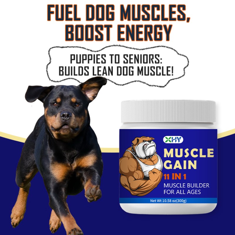 Pet Muscle Enhancement and Strength Support Soft Chews Pet Nutritional Supplement Canine Muscle Enhancement