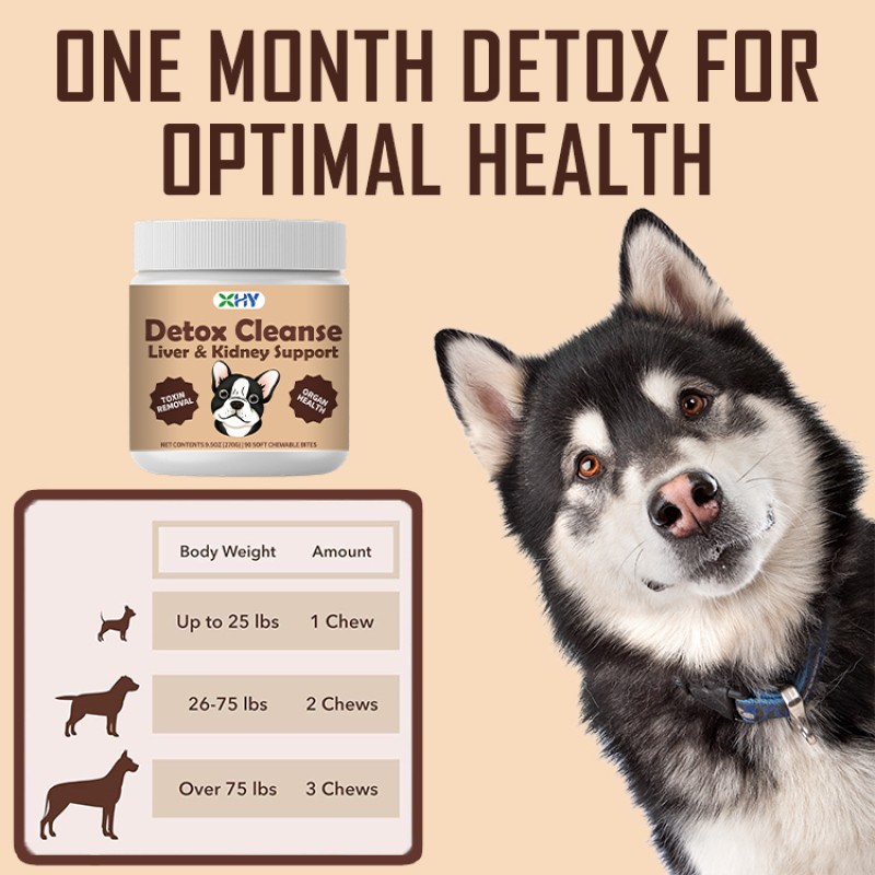 Wholesale Pet Liver Kidney Detox Soft Chews Support Nutritional Supplement Liver Kidney Detox Chews for Dogs