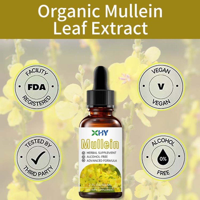 Private Label Organic Mullein Leaf Extract Drops Natural Supplement for Adult Lung Cleanse Respiratory Support