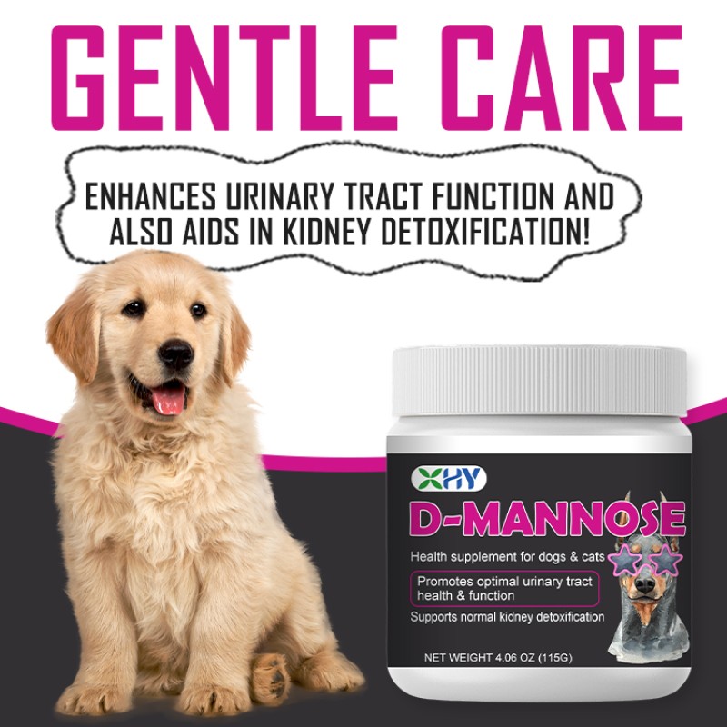 Cranberry Extract with D-Mannose Supplement for Pet Health Support
