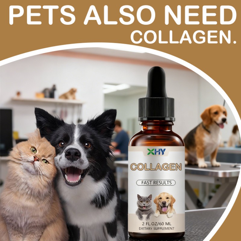 Wholesale Premium Collagen Drops Dog Cat Oral Liquid 60ml Collagen Biotin Hyaluronic Acid Drops