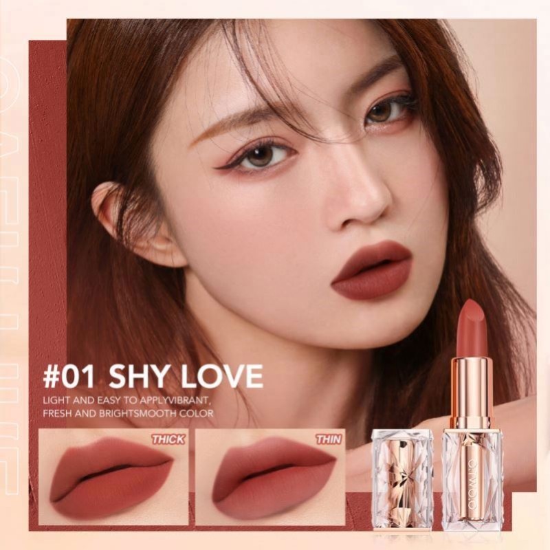 factory O.Two.O 6 Colors Water Proof Private Label Nude Matte Lipstick