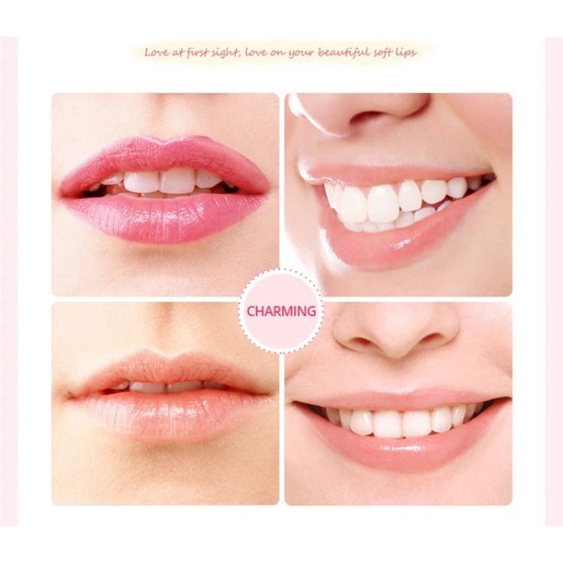 Factory Oem BIOAQUA Discount Now Private Label Moisturizing Collagen Sleeping Beauty pink Lip Mask