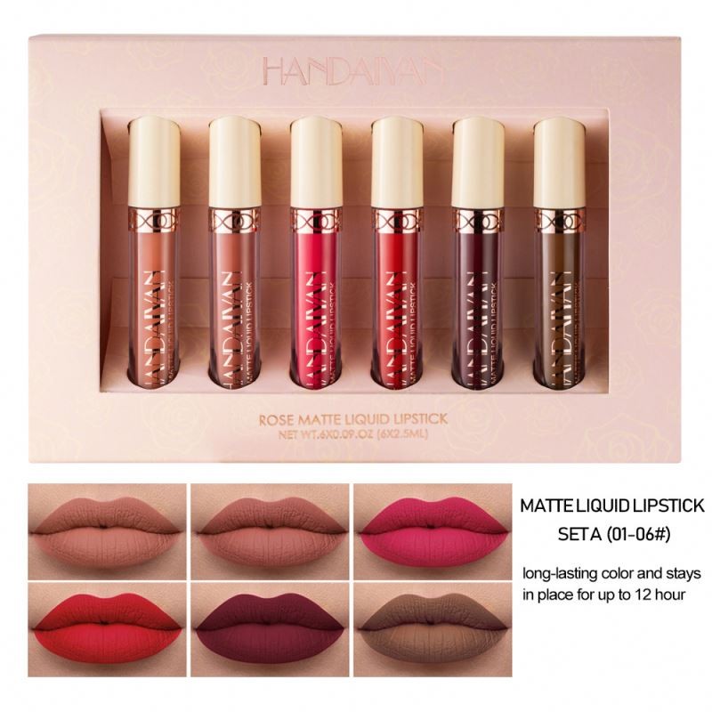 HANDAIYAN Liquid Matte Lip Gloss Set Velvet Wholesale Non-stick Cup Lipgloss Tint Long-lasting High Pigment