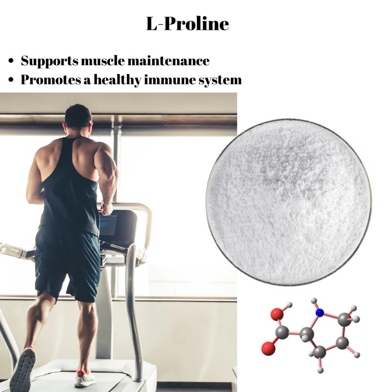 Health Nutritional Supplement Amino Acid Powder Cas 147-85-3 Food Grade Proline Powder Food Additive L Proline L-Proline