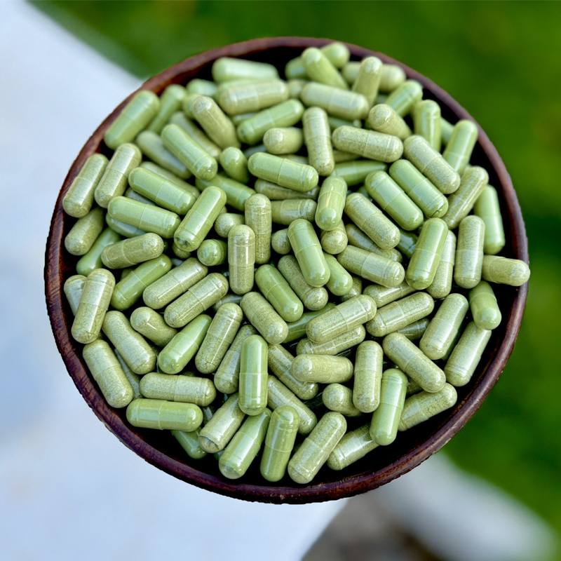 Organic Energy Plus Moringa Capsules Wholesale Produced for Everyone Except Pregnant Women