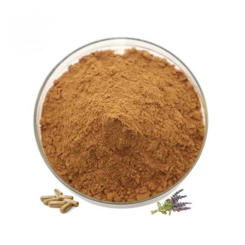 Wholesale Bulk 100% Natural Pure 1% Turkesterone Extract Powder Ajuga Turkestanica Powder Extract Turkesterone Capsules