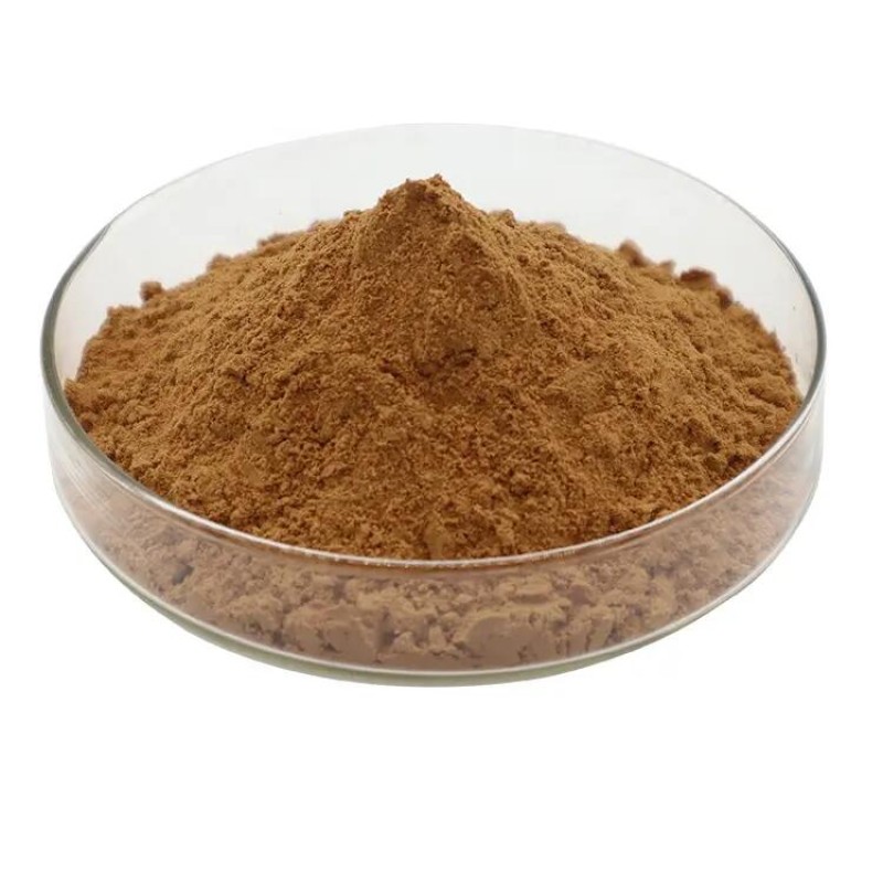 Wholesale Bulk 100% Natural Pure 1% Turkesterone Extract Powder Ajuga Turkestanica Powder Extract Turkesterone Capsules