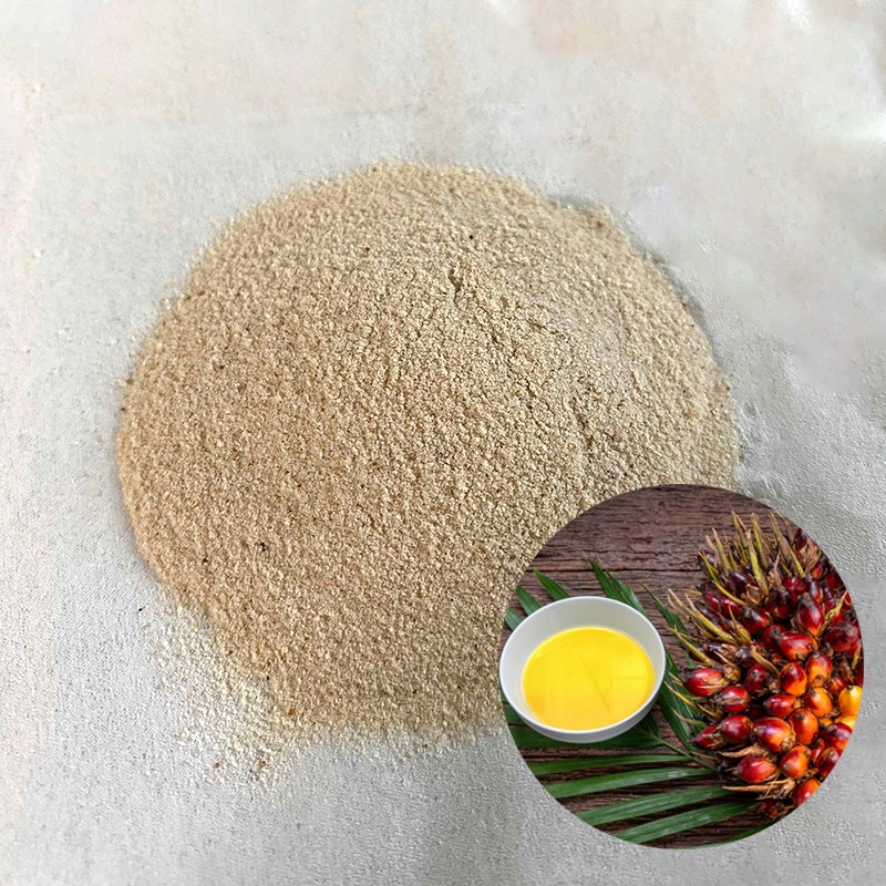 Dietary Supplement Health Benefits from Palm Food Digestive Oil Palm Trunk Fiber Palm Fiber Powder