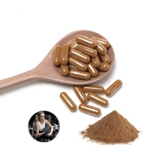 Wholesale Bulk 100% Natural Pure 1% Turkesterone Extract Powder Ajuga Turkestanica Powder Extract Turkesterone Capsules