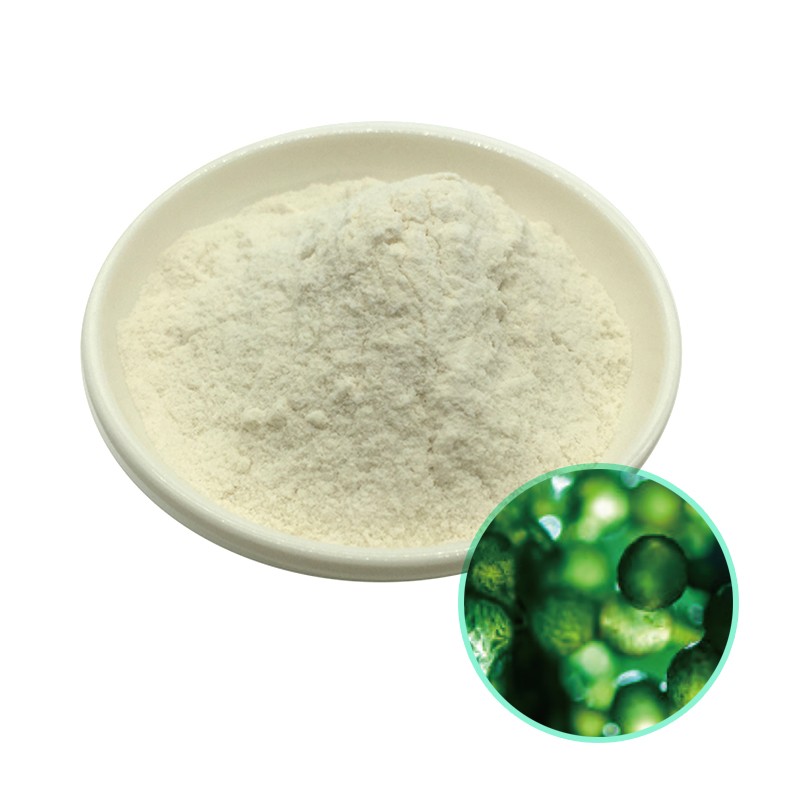 Richtek Ltd Microcell Brand Nutrition High EPA Content 10% Nano Chlorella Dietary Supplement Algae Oil Powder