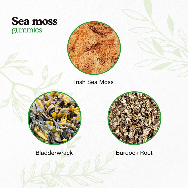 Adult Vegan Organic Seamoss Gummies Immune Support Herbal Supplement Burdock Root Extract and Bladderwrack