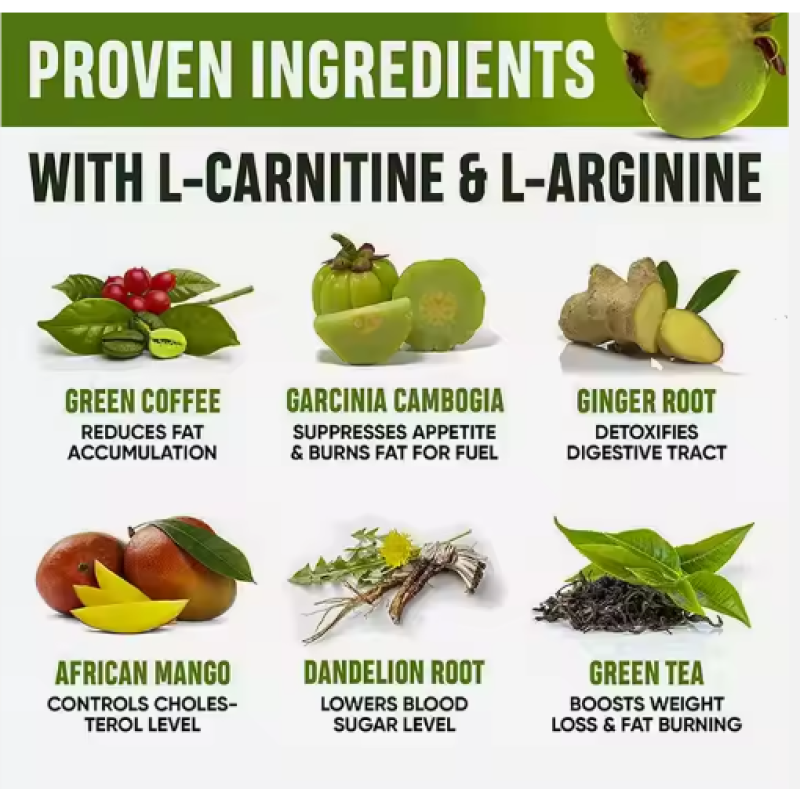 Appetite Suppressant Metabolism Supplement Organic Garcinia Cambogia Diet