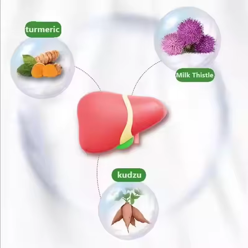 OEM Milk Thistle Plant Extract 500mg Dietary Supplement