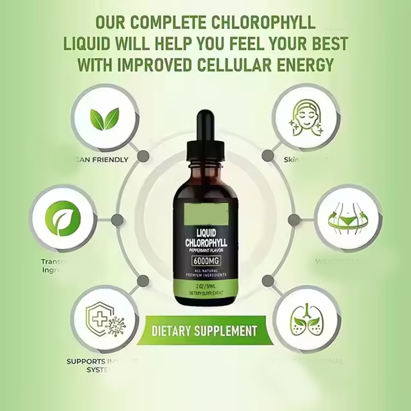 6000mg Mint Drops Chlorophyll Liquid
