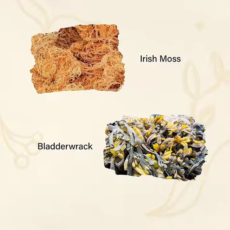 OEM Berberine HCl Capsules