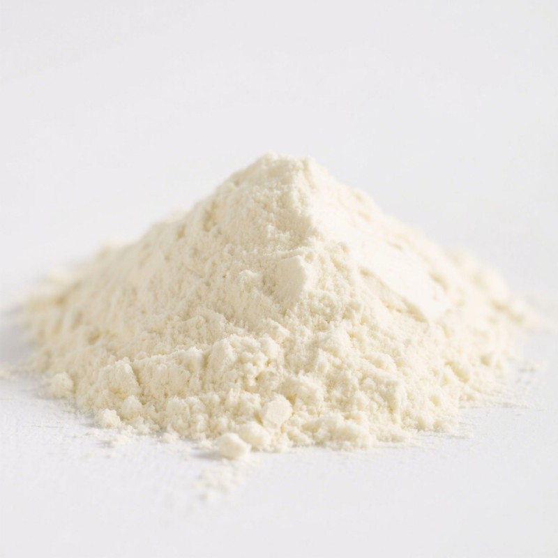 Besica GMP OEM Private Label Vegan Protein Powder Organic Whey Protein Powder BCAA Amino Acid Supplement