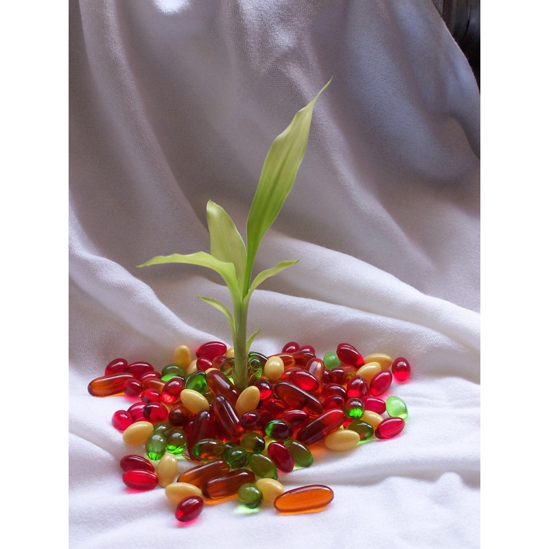 Dietary Supplement Co Q10 Softgel Capsules with Co Q10 100mg