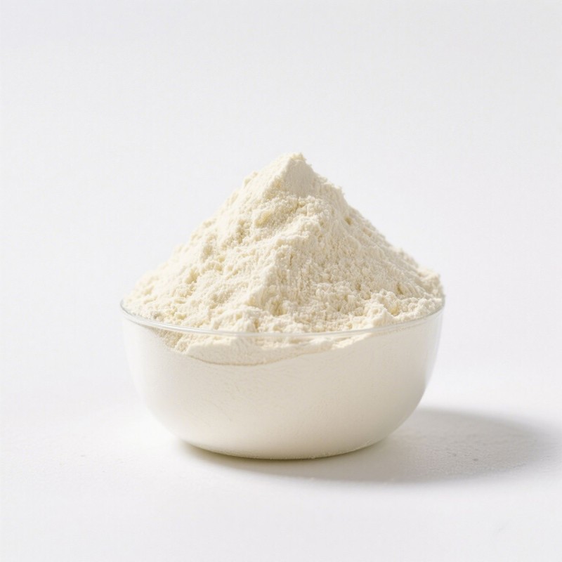 Besica OEM Creatine Monohydrate Powder for Women and Men