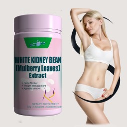 Besica OEM Fat Burner Capsules White Kidney Bean Extract Weight Loss Pills Slimming Fast Tablets Fat Burning Supplement