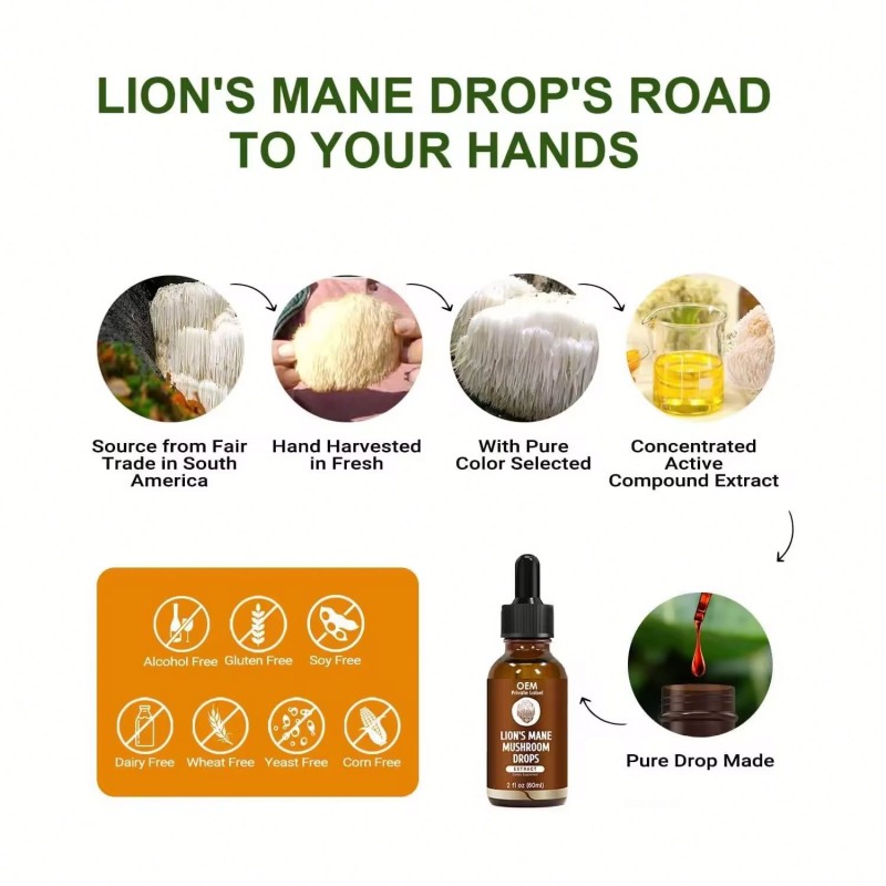 Besica Mushroom Extract Drops Lion's Mane Nootropic Liquid Immune System Brain Boost 1 Blend Lion's Mane Liquid Drops