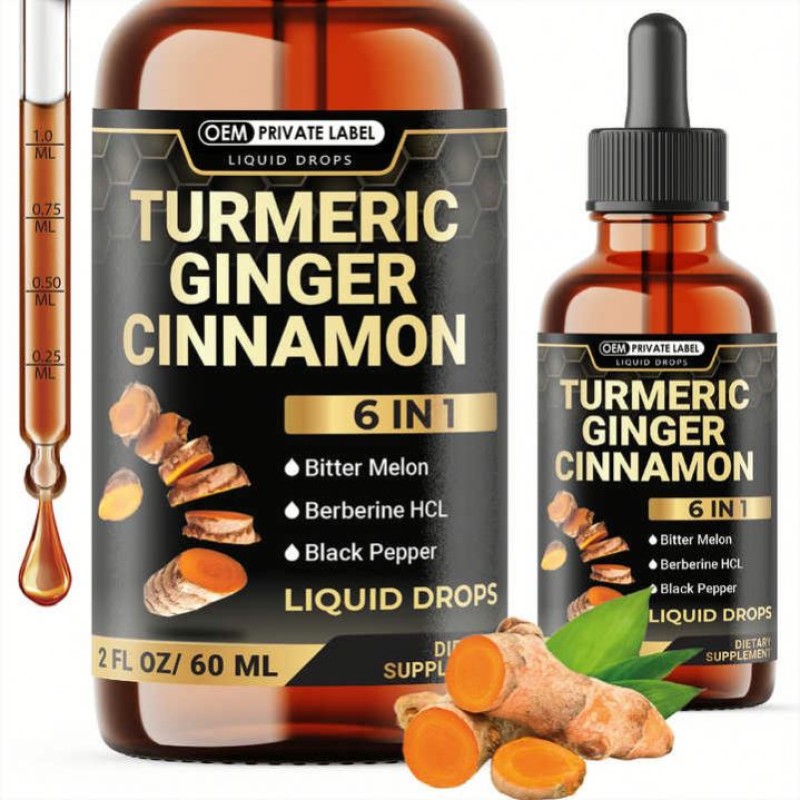 Besica 6-in-1 Liquid Turmeric Curcumin with Ginger Berberine Extract Ceylon Cinnamon Bitter Melon Drops Joint Support