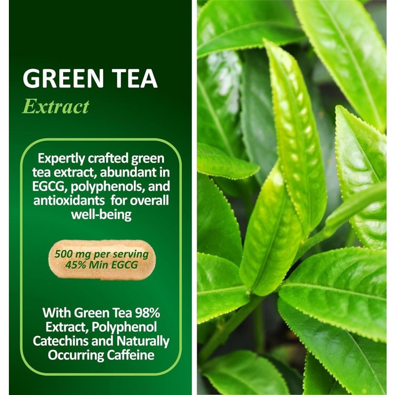 Besica Private Label Green Tea Extract Capsules - Mental Focus